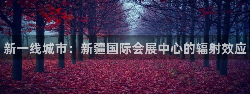 果博注册会员：新一线城市：新疆国际会展中