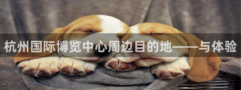 苹果电脑怎么下载博弈大师等软件：杭州国际