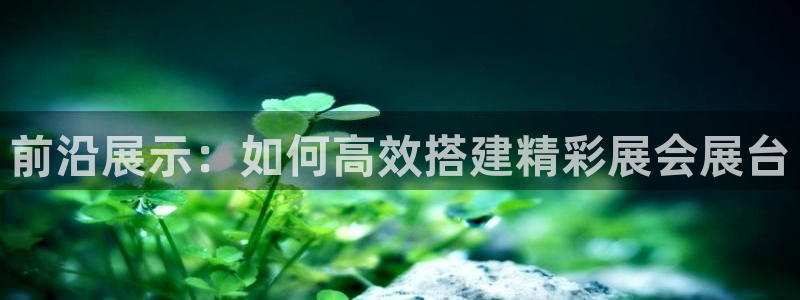 果博注册平台怎么注册：前沿展示：如何高效