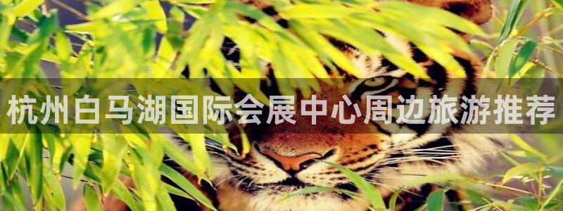 果博公司会员注册账号：杭州白马湖国际会展