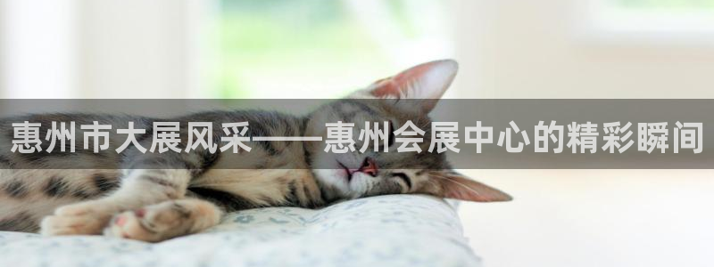 果博平台真实吗知乎