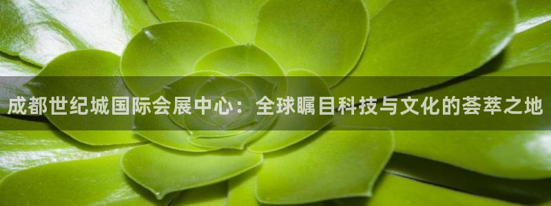 果博客服电话哪里找啊：成都世纪城国际会展
