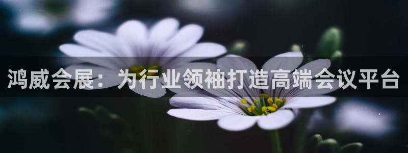 果博注册会员：鸿威会展：为行业领袖打造高