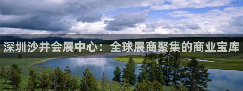 果博环保公司：深圳沙井会展中心：全球展商