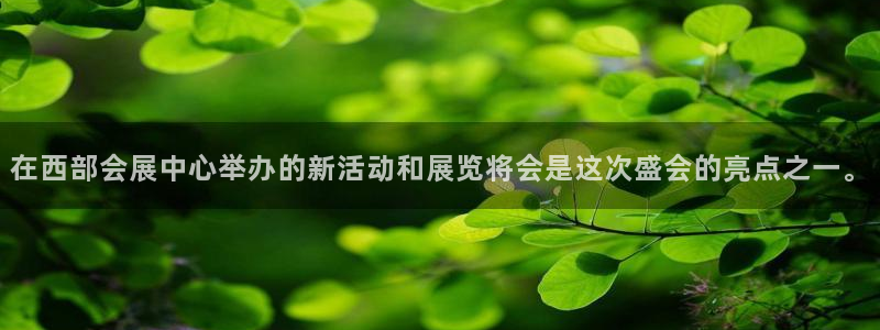 果博平台真实吗：在西部会展中心举办的新活