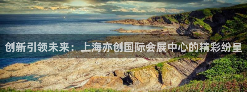 果博平台真实吗知乎：创新引领未来：上海亦