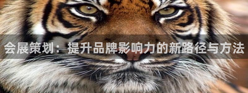 果博管理网：会展策划：提升品牌影响力的新