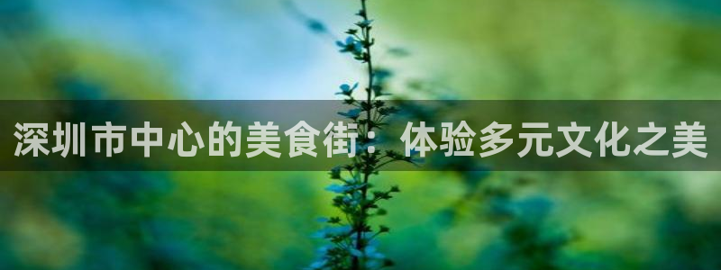 果博注册充值：深圳市中心的美食街：体验多