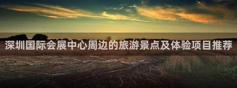 果博平台真实吗安全吗可靠吗：深圳国际会展