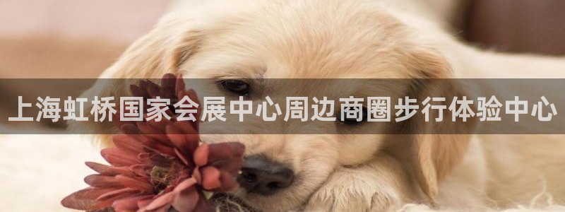 果博官网客服电话号码：上海虹桥国家会展中