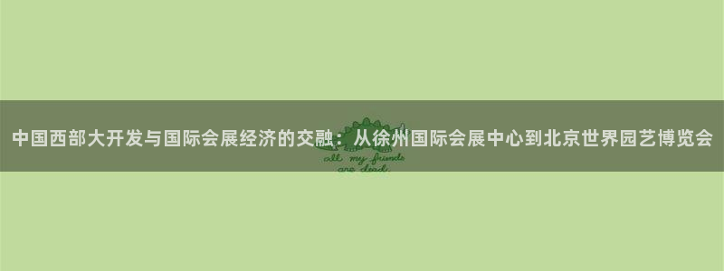 果博注册充值多少钱：中国西部大开发与国际