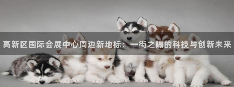 果博有假吗：高新区国际会展中心周边新地标