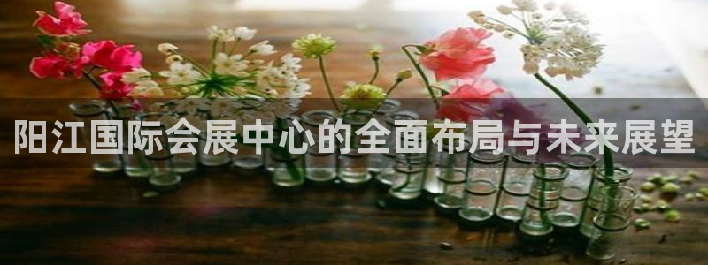 果博注册充值怎么充：阳江国际会展中心的全