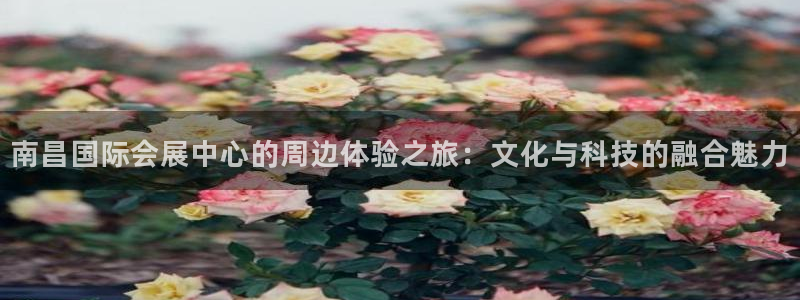 果博公司注册：南昌国际会展中心的周边体验