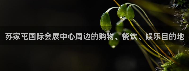 果博电话：苏家屯国际会展中心周边的购物、餐饮、娱乐目的地