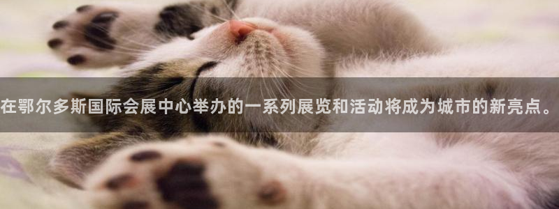 果博总台电话：在鄂尔多斯国际会展中心举办的一系列展览和活动将成为城市的新亮点。