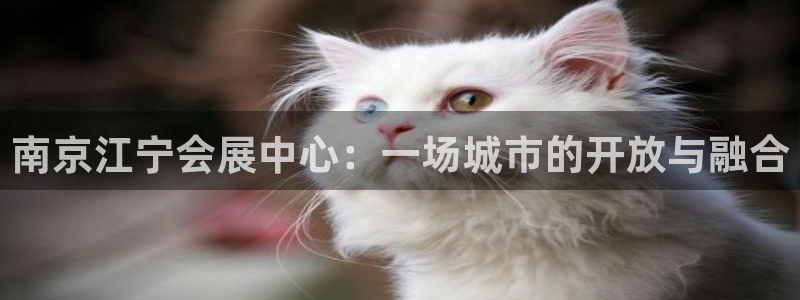 果博注册链接：南京江宁会展中心：一场城市