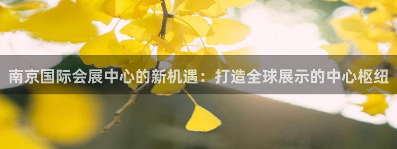 果博客服联系电话：南京国际会展中心的新机遇：打造全球展示的中心枢纽