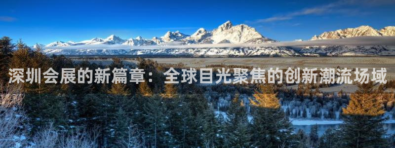 果博网站二维码：深圳会展的新篇章：全球目光聚焦的创新潮流场域