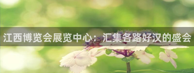 果博客服微信是多少：江西博览会展览中心：汇集各路好汉的盛会