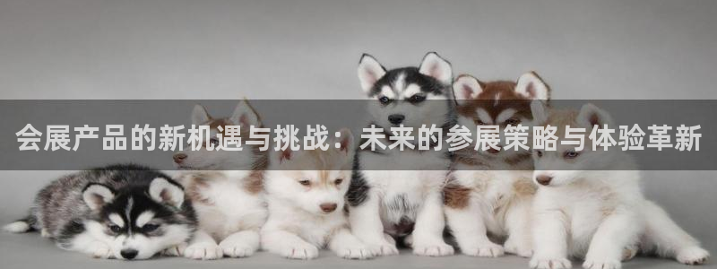 果博平台苹果电脑怎么下载：会展产品的新机遇与挑战：未来的参展策略与体验革新