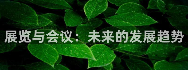 果博公司怎么注册会员：展览与会议：未来的发展趋势