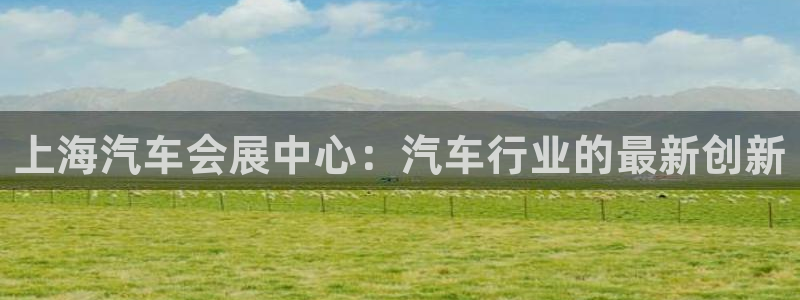 果博官网在银博：上海汽车会展中心：汽车行