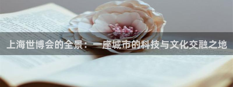 果博注册客服电话是多少啊：上海世博会的全景：一座城