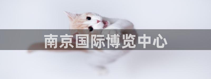 果博平台真实吗安全吗是真的吗：南京国际博