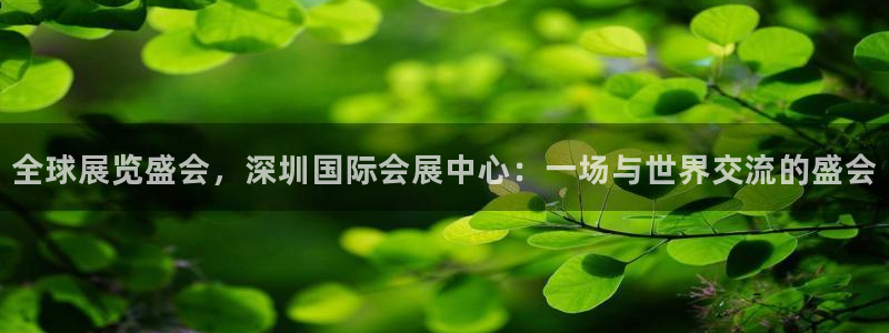 果博东手机版下载开户：全球展览盛会，深圳