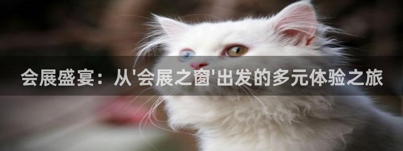 果博公司客服电话多少：会展盛宴：从\'会