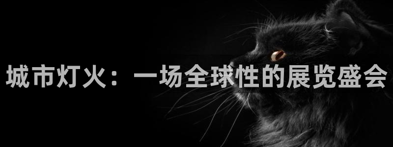 苹果电脑怎么下载博弈大师等软件:城市灯火