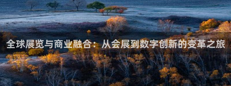 果博注册会员怎么注销：全球展览与商业融合：从会展到