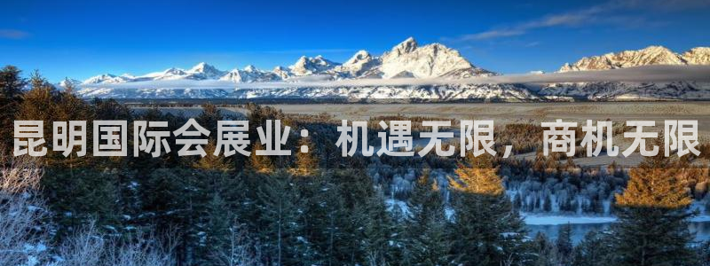 果博公司怎么注册会员：昆明国际会展业：机遇无限，商机无限