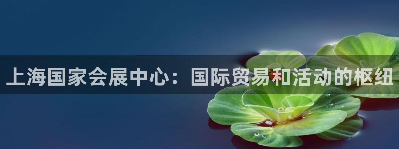 果博公司会员注册