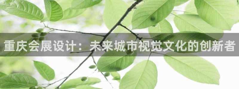 果博公司注册：重庆会展设计：未来城市视觉