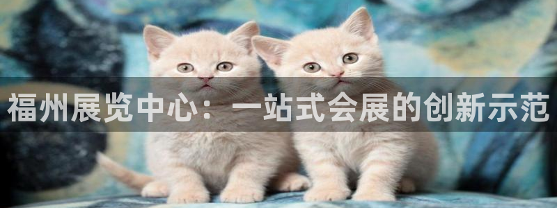 果博公司会员怎么开户