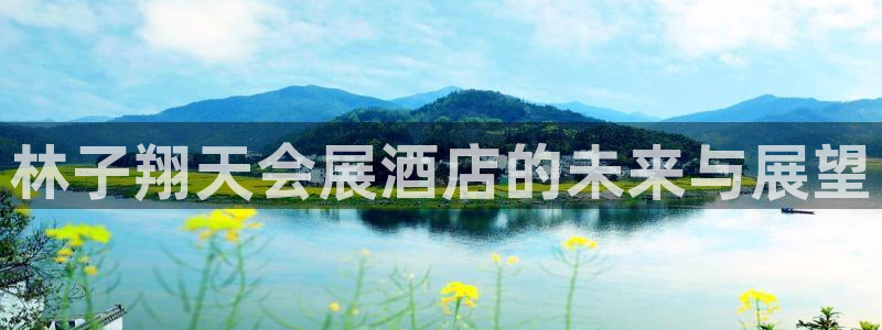 果博公司会员注册账号开户：林子翔天会展酒