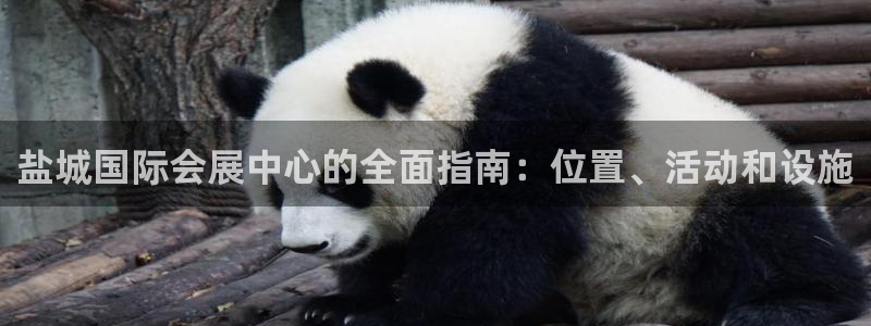 果博公司电话：盐城国际会展中心的全面指南