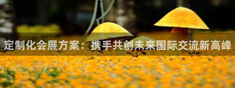 果博公司：定制化会展方案：携手共创未来国际交流新高峰