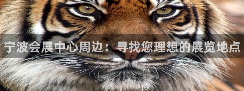 果博注册会员：宁波会展中心周边：寻找您理