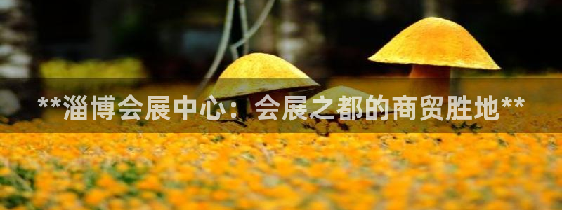 果博东官方网站怎么下载：**淄博会展中心：会展之都的商贸胜地**