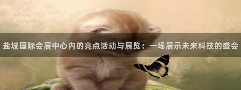 果博客服电话：盐城国际会展中心内的亮点活动与展览：一场展示未来科技的盛会