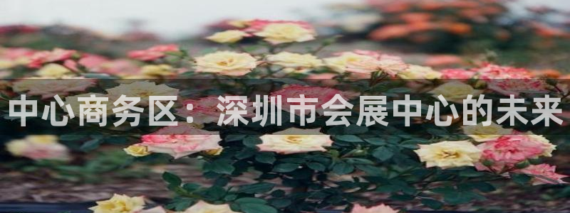 果博官网客服电话号码：中心商务区：深圳市会展中心的未来
