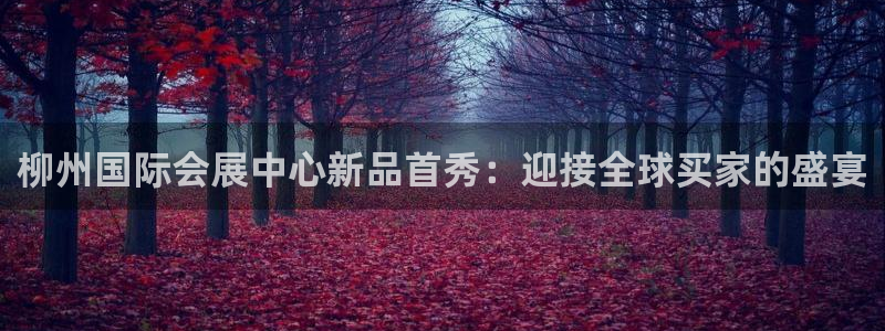 果博注册会员要钱吗：柳州国际会展中心新品首秀：迎接全球买家的盛宴