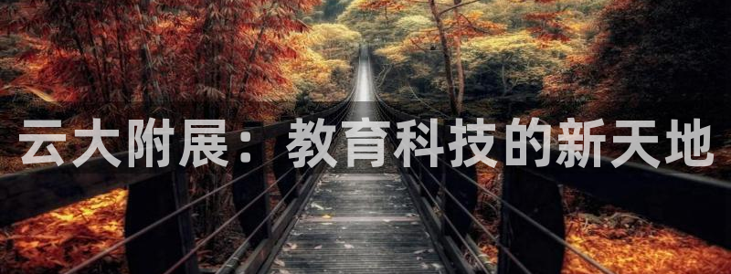 果博平台真实吗安全吗：云大附展：教育科技的新天地