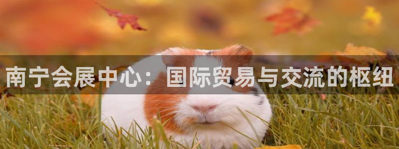 果博公司客服电话号码：南宁会展中心：国际