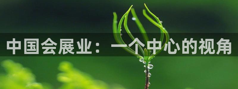 果博公司开户：中国会展业：一个中心的视角
