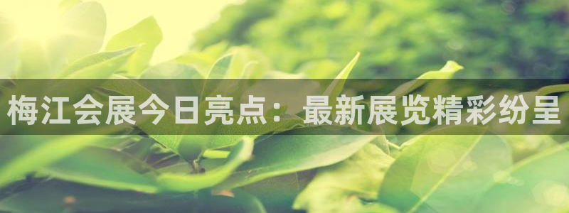 果博注册平台怎么注册的：梅江会展今日亮点