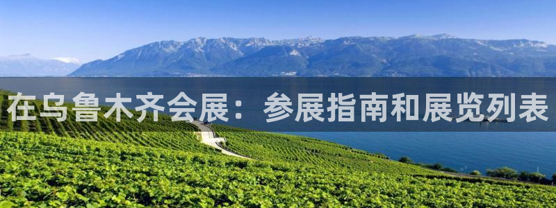 电脑怎么下载果考网：在乌鲁木齐会展：参展